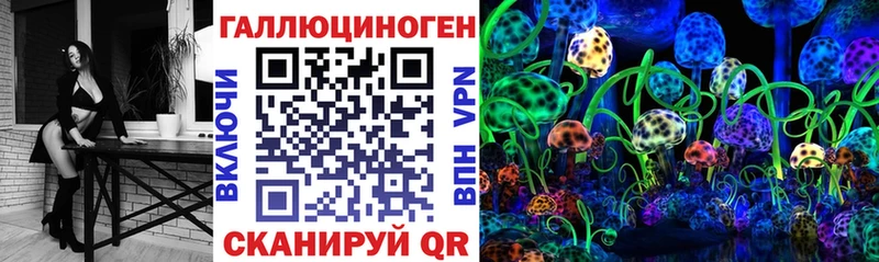 Псилоцибиновые грибы GOLDEN TEACHER где продают Калачинск